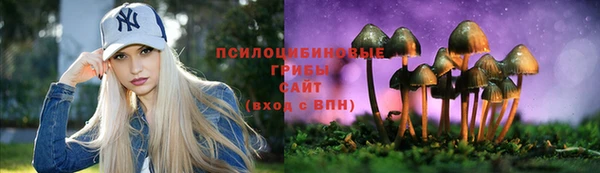бошки Богданович