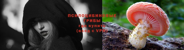 jwh Богородицк