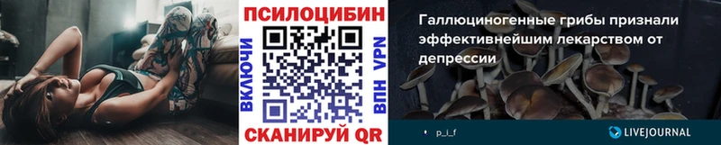 Купить  Павлово  Галлюциногенные грибы MAGIC MUSHROOMS 
