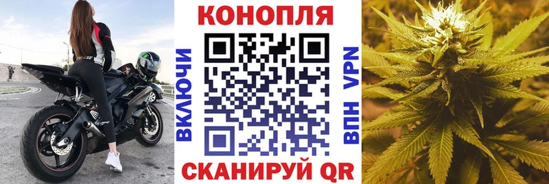 МАРИХУАНА SATIVA & INDICA  Купить закладки  Павлово 